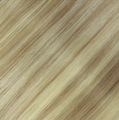 Highlights