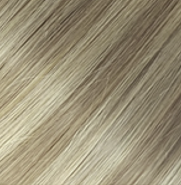 Highlights